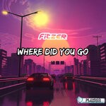 cover: Fitzer - Where Did You Go