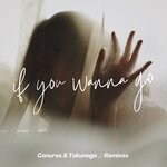 cover: Jemma Johnson - If You Wanna Go (Remixes)