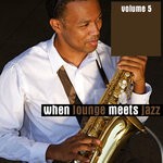 cover: Various - When Lounge Meets Jazz, Vol 5