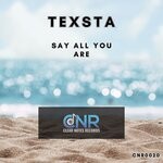 cover: DJ Texsta - Say All You Are