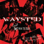 cover: Waysted - Boot From The Dead (Explicit)