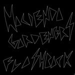 cover: Hacienda Gardeners - Flashback