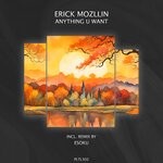 cover: Erick Mozllin - Anything U Want