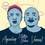 cover: Aquadeep & Veesoul - Matters Of Groove