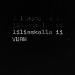 cover: VURM - LILIESKALLA2