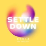 cover: Droyd|Leven Kali - Settle Down (Explicit)