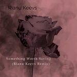 cover: Rianu Keevs - Something Worth Saving (Rianu Keevs Remix)