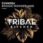 cover: Funkera - Boogie Wonderland