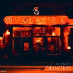 cover: antoanesko - Orange Bird