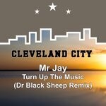 cover: Mr Jay - Turn Up The Music (Dr Black Sheep Remix)