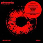 cover: Funk D'Void - Phoenix