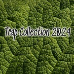 cover: Various - Trap Collection 2024