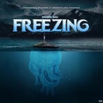 cover: Shawn Bad - Freezing (Explicit)