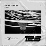 cover: Levi David - Esprit