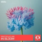 cover: Protoculture - In Bloom