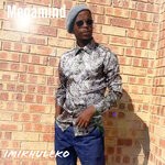 cover: Megamind - Imikhuleko