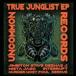 cover: INTERRUPT FEAT DEEMAS JAY|Mista Jago - True Junglist