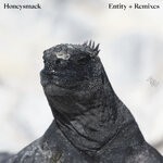 cover: Honeysmack - Entity