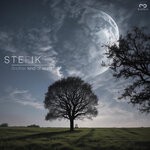 cover: Stefik - Another Kind Of World