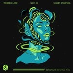 cover: James Pumping|Luis M|Proper Lane - Balzamuzik