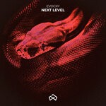 cover: Evocky - Next Level