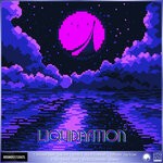 cover: Various - LiquiDNAtion EP Vol 5