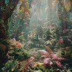 cover: Flora Mura - Meld