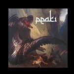 cover: PEAKi - Vultures