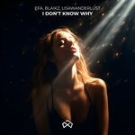 cover: Blaikz|EFA|lisawanderlust - I Don't Know Why