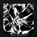 cover: Veiga - Introvert EP