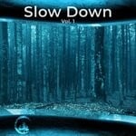 cover: Various - Slow Down Vol 1