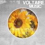 cover: Various - Sense Of House Vol 12