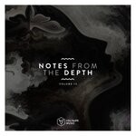 cover: Various - Notes From The Depth Vol 13