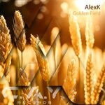 cover: AlexK - Golden Field