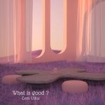 cover: Cem Ulku - What Is Good ?