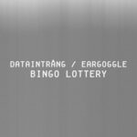 cover: DATAINTRANG|Luke Eargoggle - Bingo Lottery