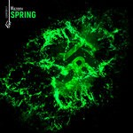 cover: Mazeev - Spring