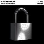 cover: Bad Monkey - Set Me Free