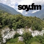 cover: soy.fm - We Need Jungle I'm Afraid