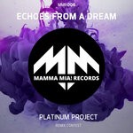 cover: Platinum Project - Echoes From A Dream (Remix Contest Edition)