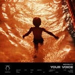 cover: indiVbility - Your Voice