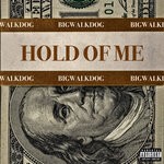 cover: BigWalkDog - Hold Of Me (Explicit)