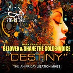 cover: DJ Beloved|Shane The Golden Voice - Destiny (Ian Friday Libation Mix)