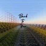 cover: Chester Fields - Back To You