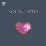 cover: Fenekot - Here's Your Perfect