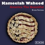 cover: Kameelah Waheed - America The Beautiful