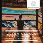 cover: Quinn Casado - Fields Of Gold (Acoustic Guitar Version)