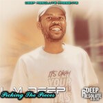 cover: L.M Deep - Picking The Pieces