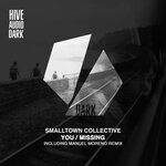 cover: Smalltown Collective - You/Missing