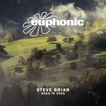 cover: Steve Brian - Back In 2005